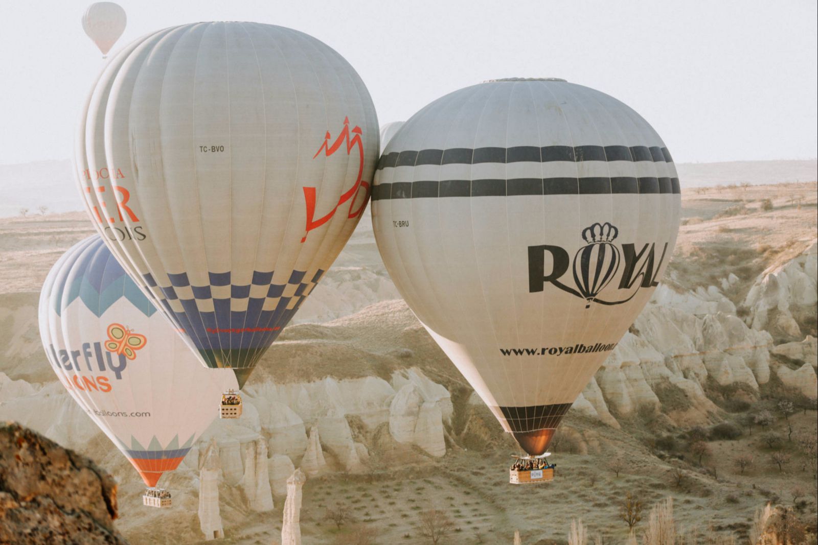 Göreme vadisinin kayalıkları üzerinde süzülen balonlar